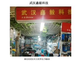 Wuhan Xinyi Technology